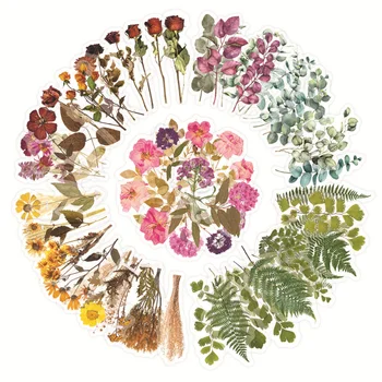 Floare Pachet Autocolant Mare Retro PET Transparent DIY Crescut Feriga de Frunze de Eucalipt Jurnal de Plante Manual Autocolante Rechizite